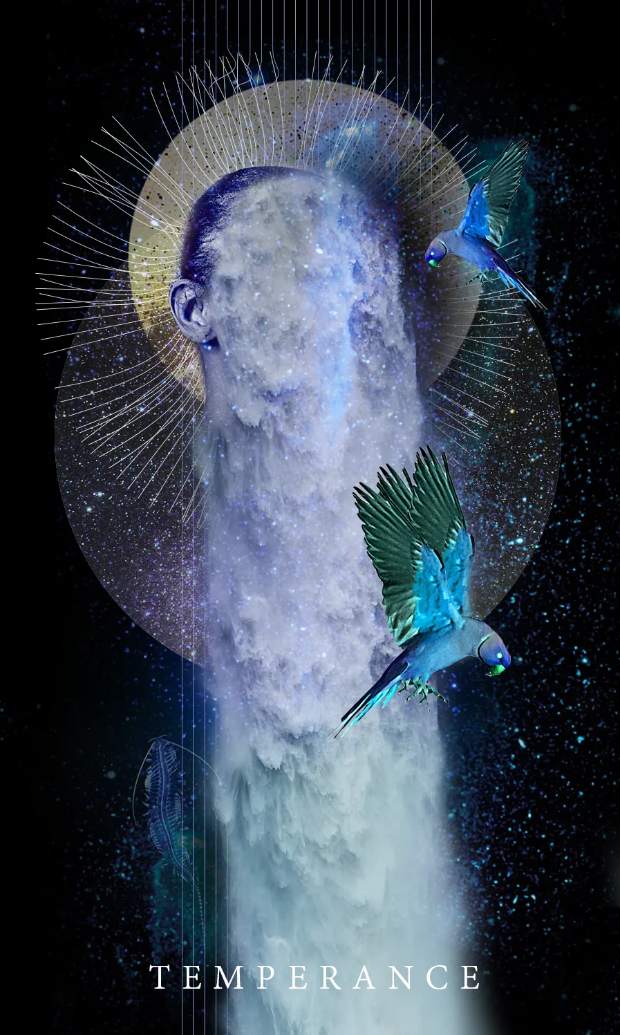 Tarot card Temperance: a head in profile that turns into a waterfall, under a golden halo of rays, with two blue parrots